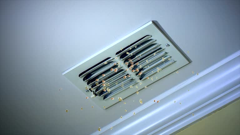 Air Duct Mold Removal in IA