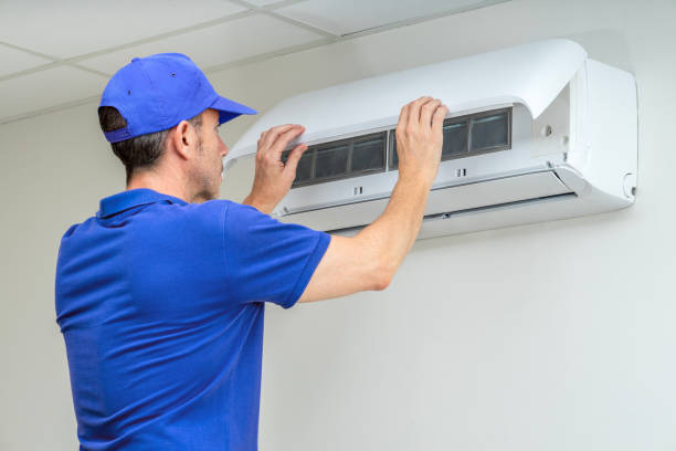 Best Air Duct Mold Removal  in Bellevue, IA